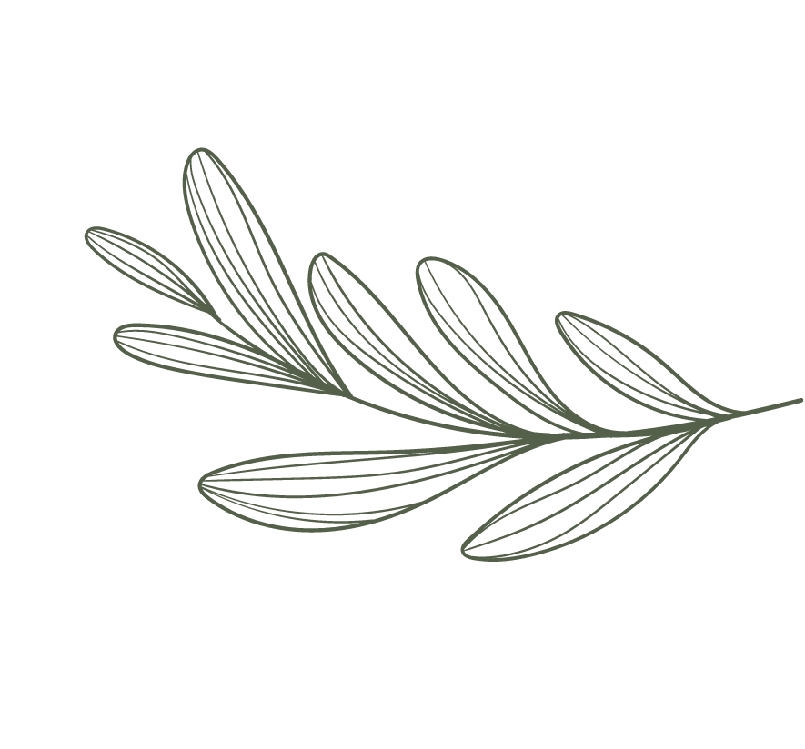 emerald midwifery home birth indiana.Cassandra barker midwife. leaf graphic.